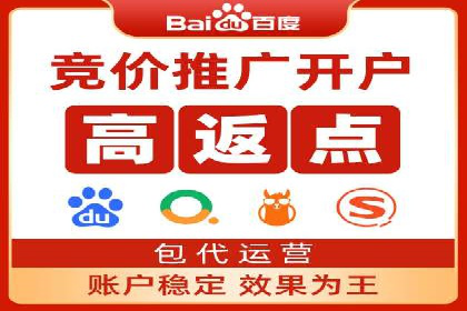 SEM优化技巧：实战案例深度剖析